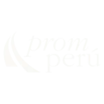 client_promperu1